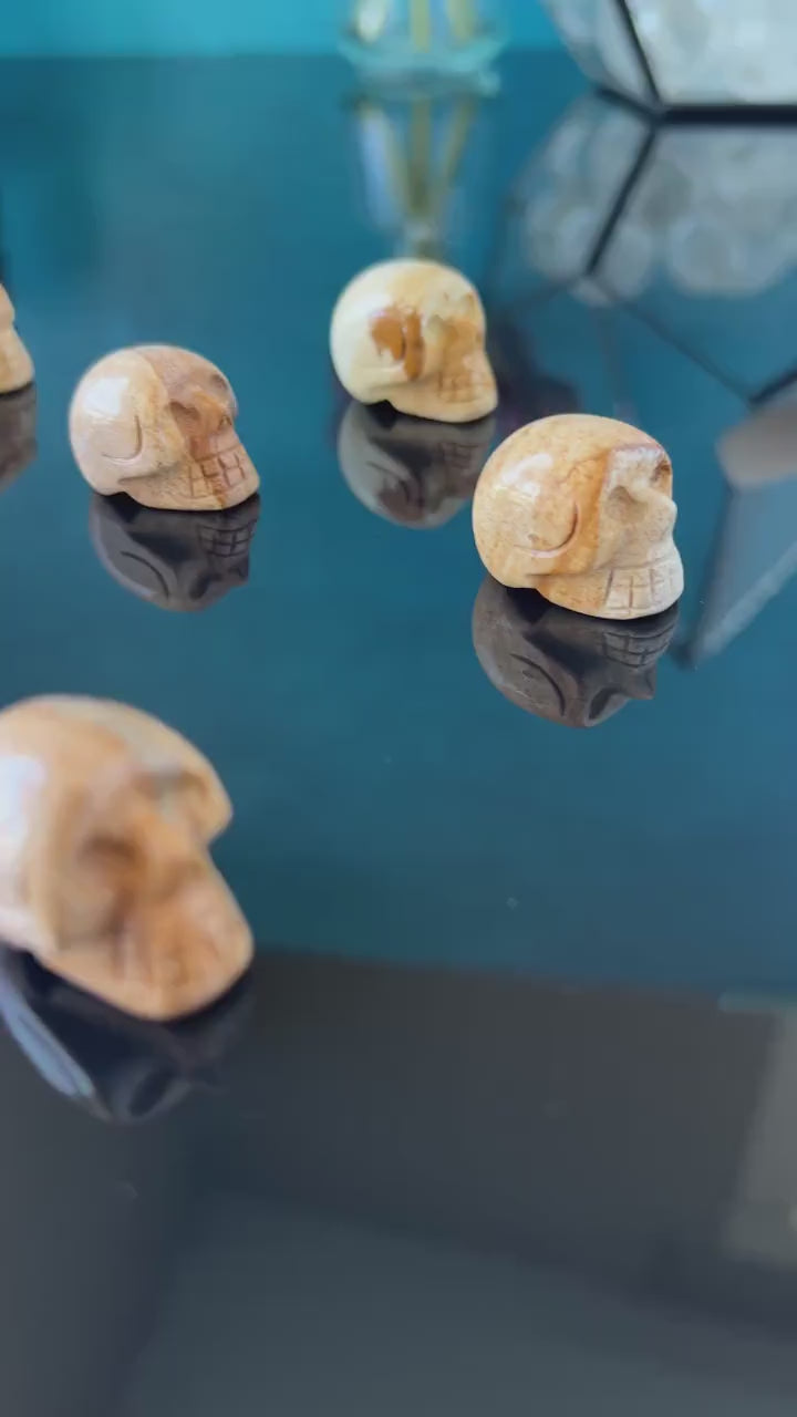 1 (one) Picture Jasper Mini Crystal Skull, Hand Carved and approx 1 inch long. Dark Academia, Spooky Witchy Home Decor. Randomly Selected