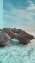 Load and play video in Gallery viewer, Super cute Ocean Jasper mini shark carvings in pastel colors approximately 2 inches. Random pull. Hand carved. high shine baby crystal shark
