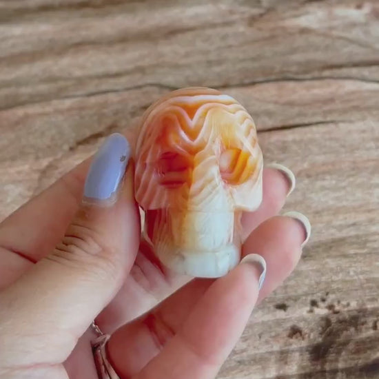 Carnelian Crystal Skull with Vibrant Banding | Banded Carnelian Agate Gemstone Skull | Unique Orange and White Halloween Decor (CarnSkull-1)