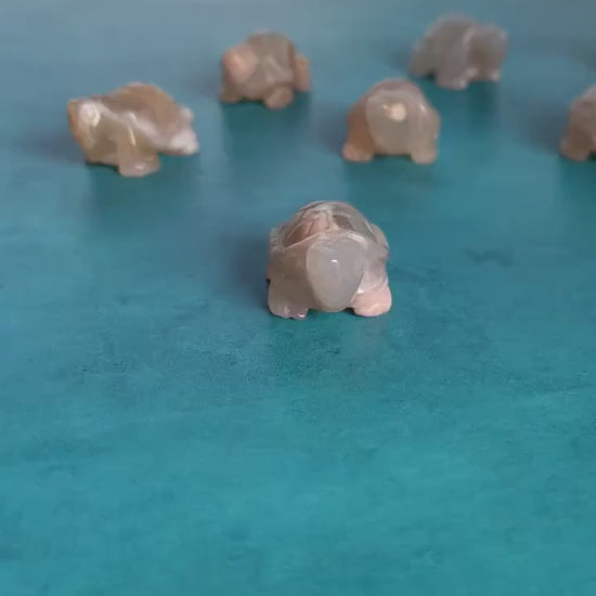 Flower Agate Turtle approx 2 inches long.  One (1) Adorable Hand Carved (Randomly Selected from our general stock).