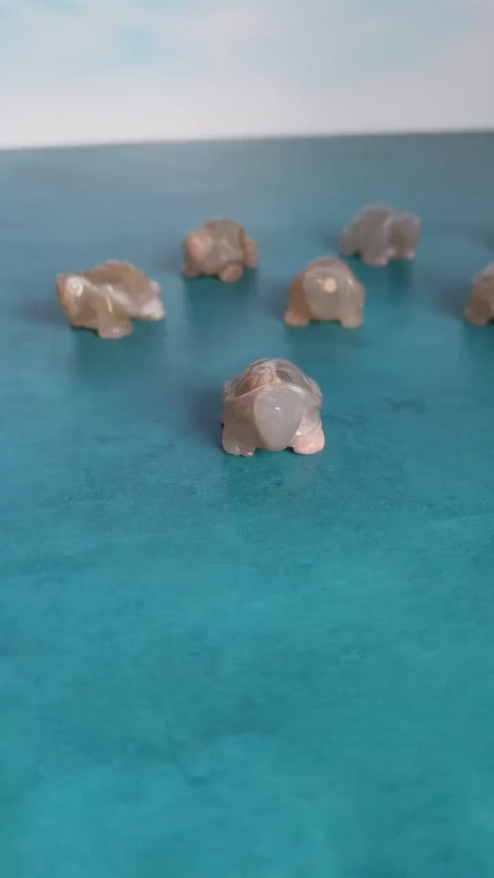 Flower Agate Turtle approx 2 inches long.  One (1) Adorable Hand Carved (Randomly Selected from our general stock).