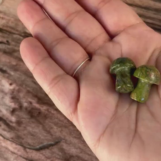 Unakite Mini Mushroom - 20mm Tall. One (1) intuitively chosen for you. Perfect for the fungi lover in your life.