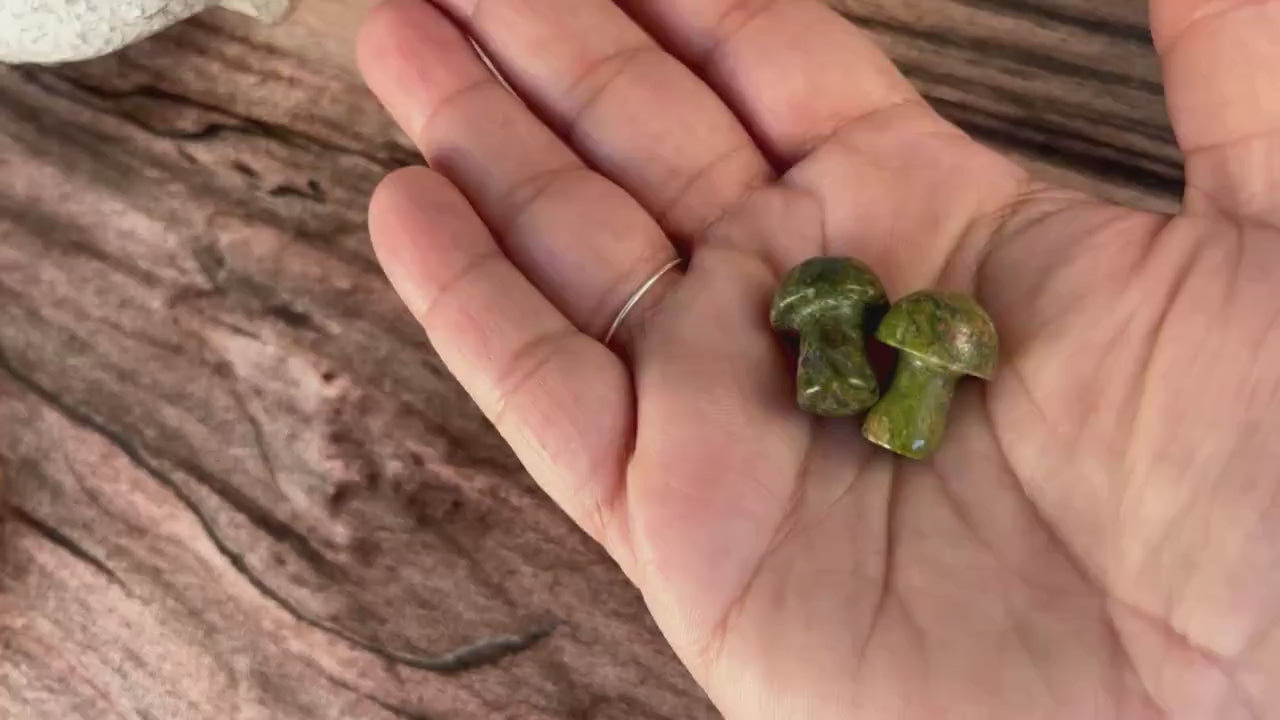 Unakite Mini Mushroom - 20mm Tall. One (1) intuitively chosen for you. Perfect for the fungi lover in your life.