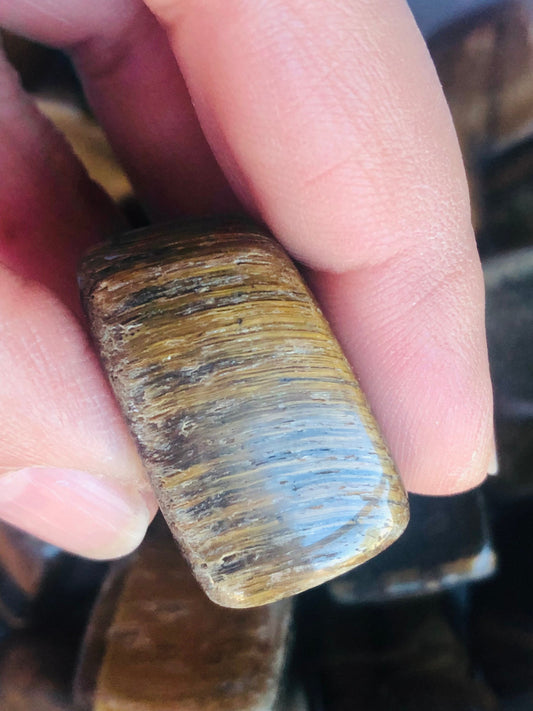 Tiger’s Eye Tumbled Stone | Golden Confidence & Focus