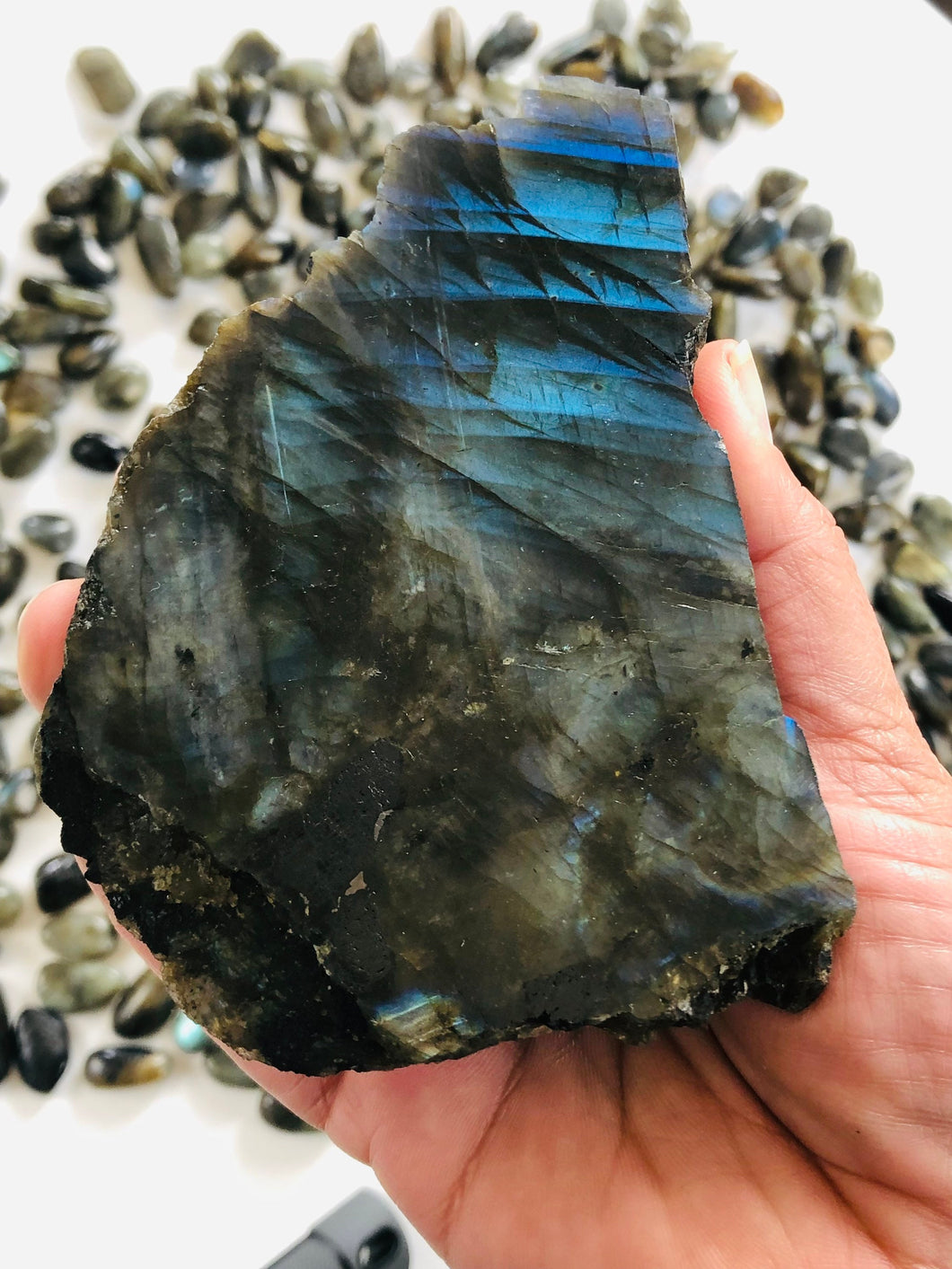 Labradorite Slab || Strong Blue Flash || Half Polished || Slice || Free Form || STAND INCLUDED